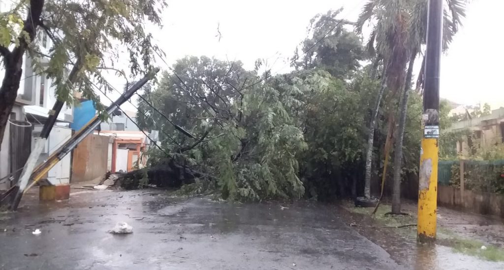 Edeeste reporta cuantiosos daños en el sistema eléctrico por tormenta Laura