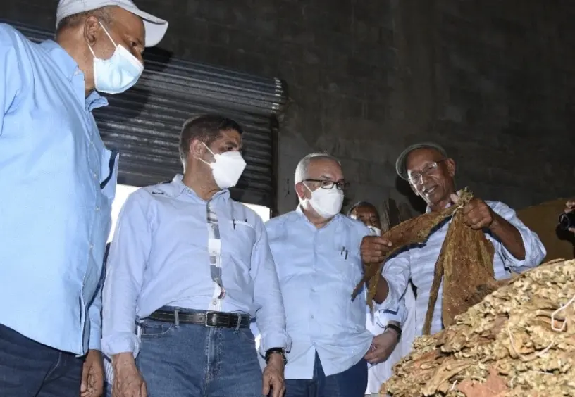 Ministerio de Agricultura comenzó la siembra de cuatro mil tareas de tabaco en la provincia San Juan, dijo el ministro Limber Cruz
