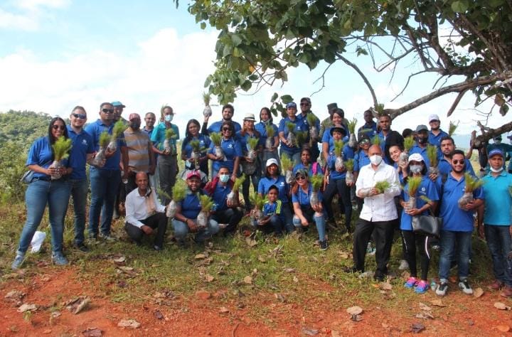 Pro Consumidor realiza jornada de reforestación en la provincia Duarte