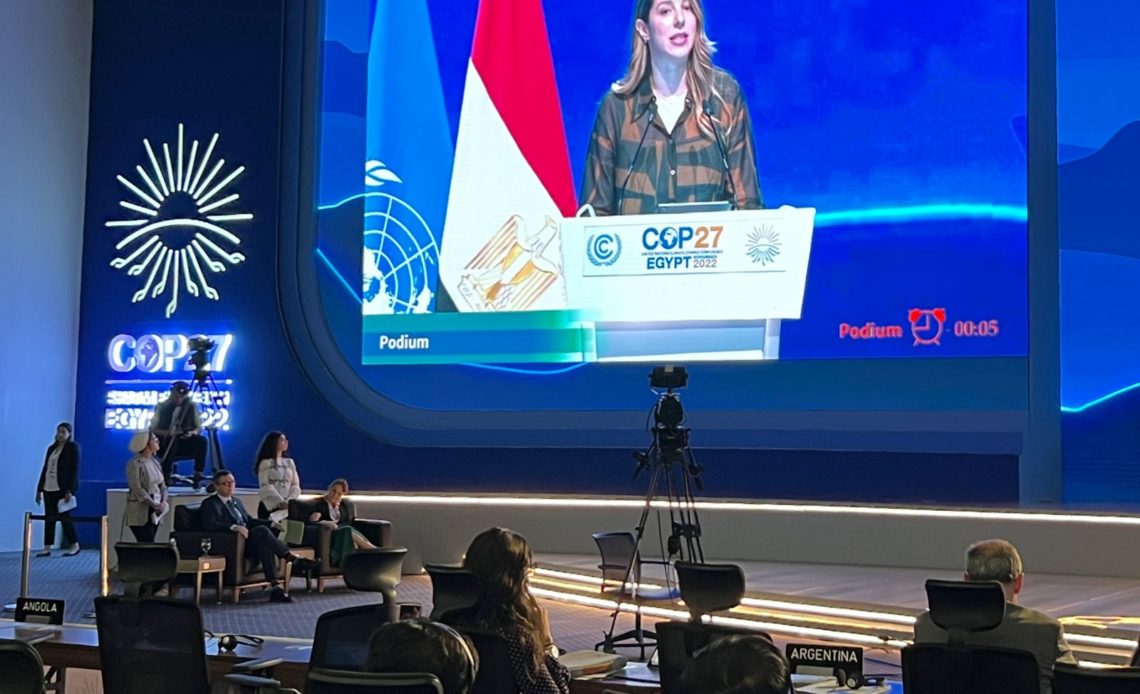Viceministra Milagros De Camps aboga en COP27 por más participación de jóvenes y mujeres en lucha por cambio climático  