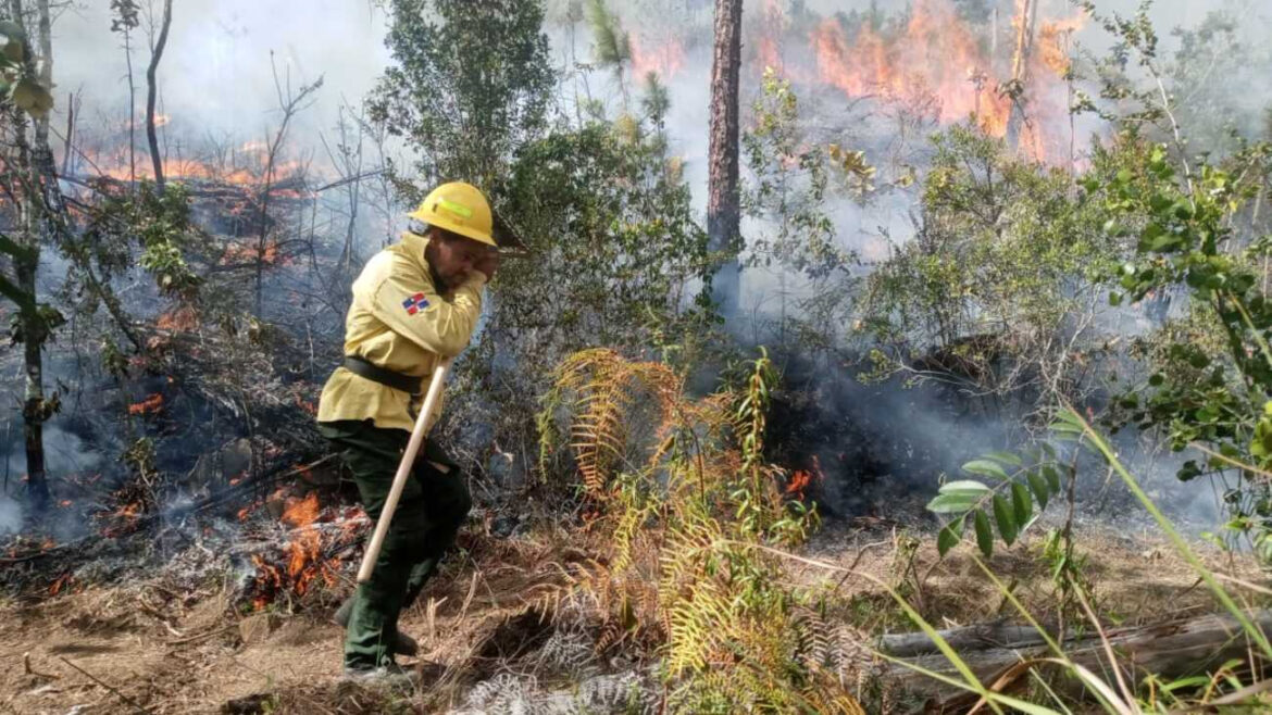 Medio Ambiente continúa velando por los bosques ante temporada de incendios forestales