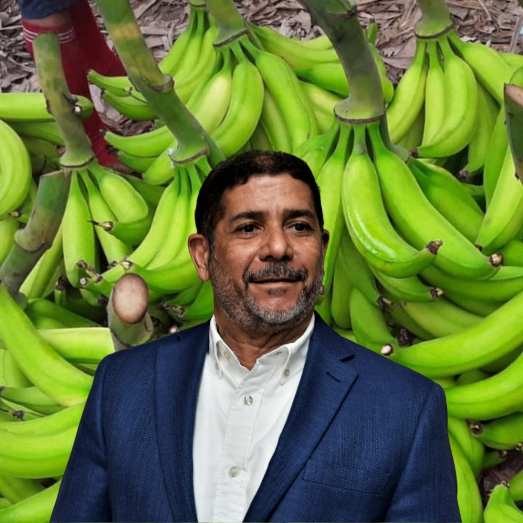 Ministro de Agricultura: “En un tiempo prudente vamos a comer plátanos a excelentes precios”
