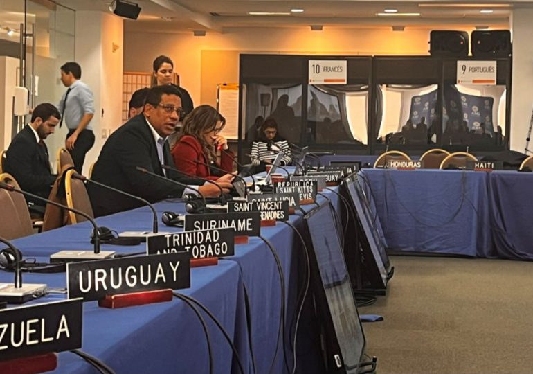 DGCP aboga en la OEA por modelo de contrataciones públicas que fomente derechos, desarrollo e inclusión