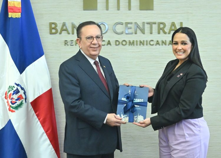 Valdez Albizu se reúne con la viceministra del Mirex, Celinés Toribio