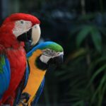 Medio Ambiente prohíbe la exhibición de animales exóticos en playas, ríos y parques